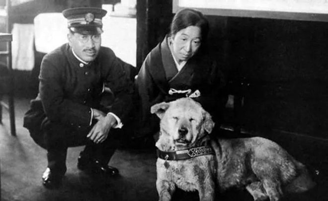 十多张罕见的忠犬八公生前等待主人的照片...至今依旧令人催泪。