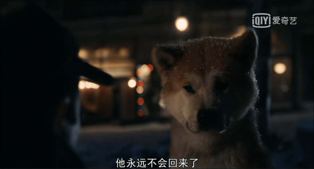 《忠犬八公》—坚强地念念不忘着