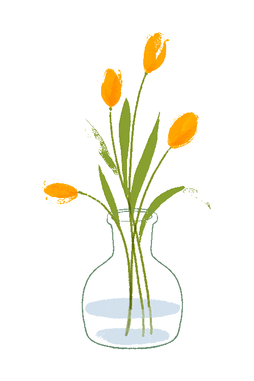 《忠犬八公》—坚强地念念不忘着