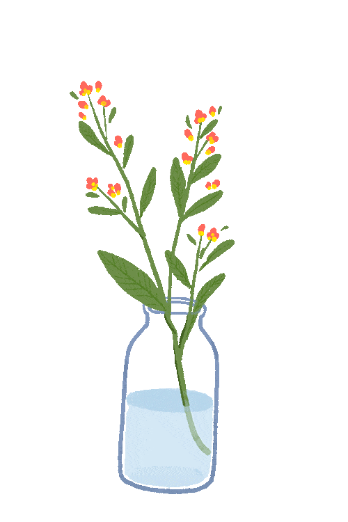 《忠犬八公》—坚强地念念不忘着