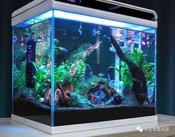 家用鱼缸哪个牌子质量好，新手养鱼的鱼缸哪种比较好应该怎么选？