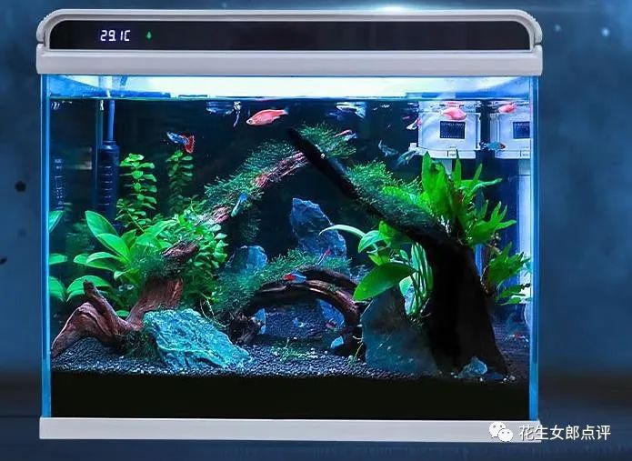 家用鱼缸哪个牌子质量好，新手养鱼的鱼缸哪种比较好应该怎么选？