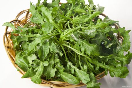 田间一种野菜不寒不热，可以明目清肝降火，有结节的朋友可以多吃