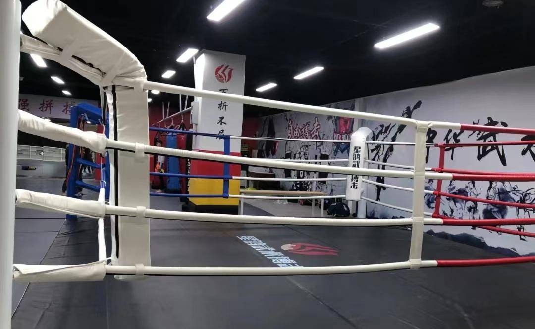 《龙马精神》票房破亿，武术传承永不止步