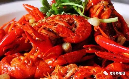 一般一斤小龙虾大概有多少只？