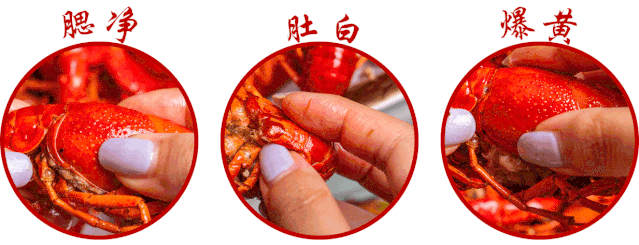 终于试业了，1斤小龙虾只需19.9元！在茂名市区这！！！