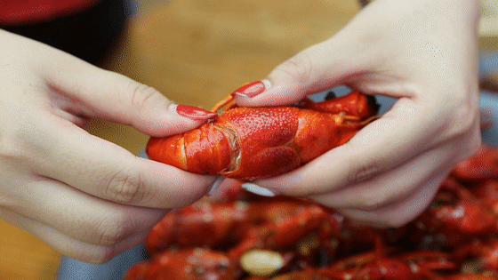 终于试业了，1斤小龙虾只需19.9元！在茂名市区这！！！