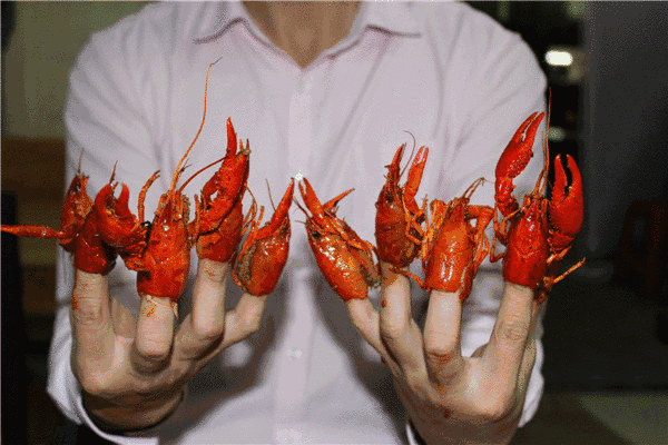 一只小龙虾有多少肉？做个CT就知道啦