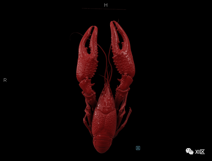 一只小龙虾有多少肉？做个CT就知道啦