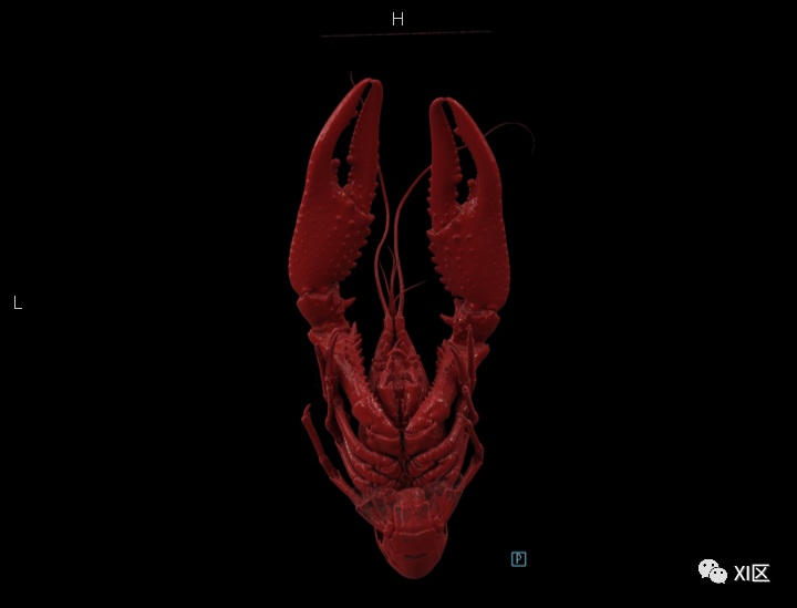 一只小龙虾有多少肉？做个CT就知道啦