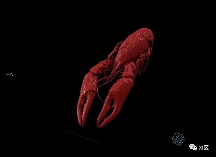 一只小龙虾有多少肉？做个CT就知道啦