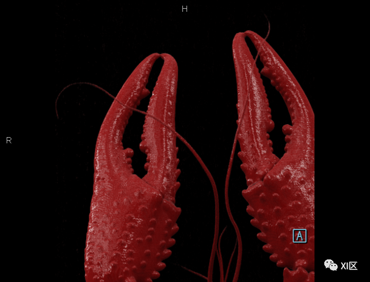 一只小龙虾有多少肉？做个CT就知道啦