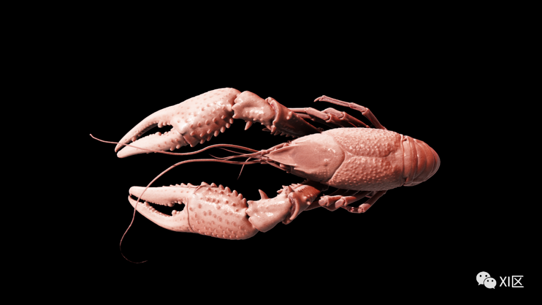 一只小龙虾有多少肉？做个CT就知道啦