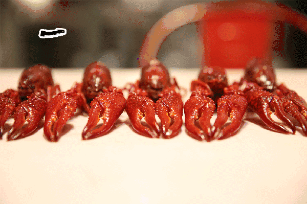 你吃过一斤只有5只的小龙虾吗？慈溪高端龙虾的引导者