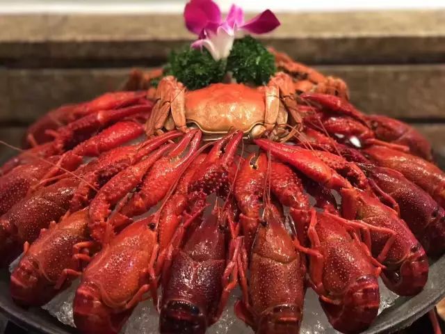 你吃过一斤只有5只的小龙虾吗？慈溪高端龙虾的引导者