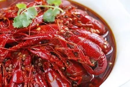 你吃过一斤只有5只的小龙虾吗？慈溪高端龙虾的引导者