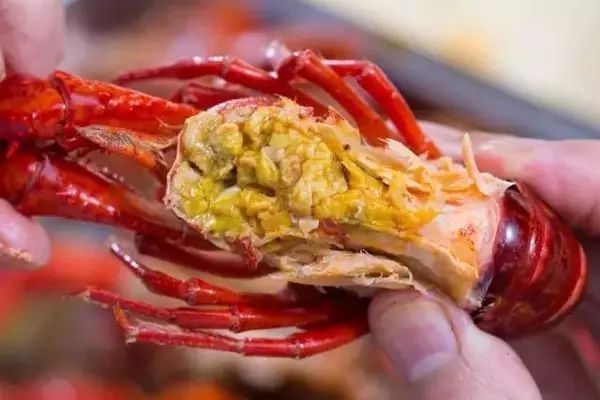 你吃过一斤只有5只的小龙虾吗？慈溪高端龙虾的引导者