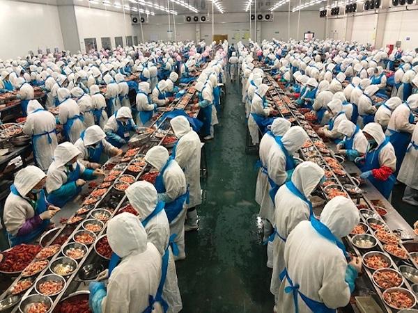 又到小龙虾上市旺季，你能实现“小龙虾自由”吗？