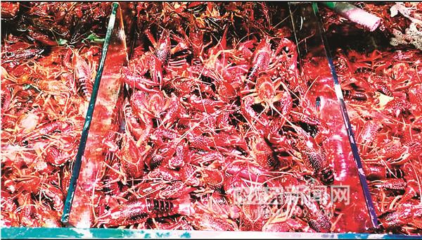 冰城人一天吃10吨小龙虾，都会扔虾壳？
