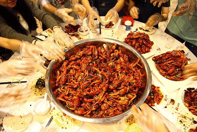 论只卖的小龙虾，我吃不起了