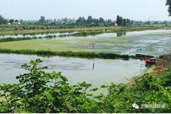 小龙虾季到来，有人一顿吃3斤，有人却吃出“病危通知”，怎么回事？