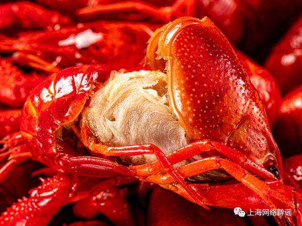 小龙虾季到来，有人一顿吃3斤，有人却吃出“病危通知”，怎么回事？