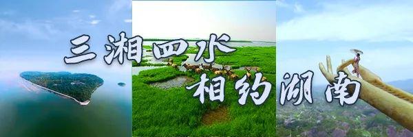 小孩子才做选择题，音乐节、冰啤酒、小龙虾，我们到君山全都要！