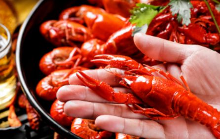 小孩子才做选择题，音乐节、冰啤酒、小龙虾，我们到君山全都要！