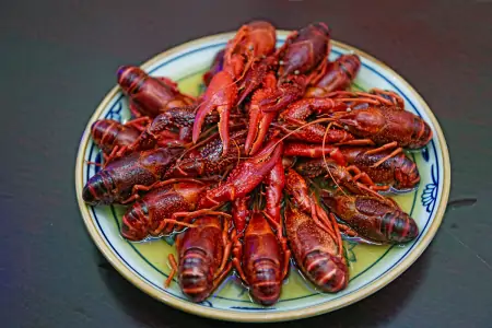 江苏连云港小龙虾大降价，每斤最低价格已跌破10元