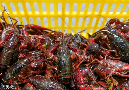 黑龙江顾客在某饭店店买了10斤的小龙虾，复称发现只有5斤多一点