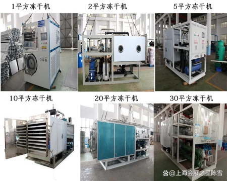 博莱客-真空冷冻干燥机邀您共聚第11届上海生物发酵展会