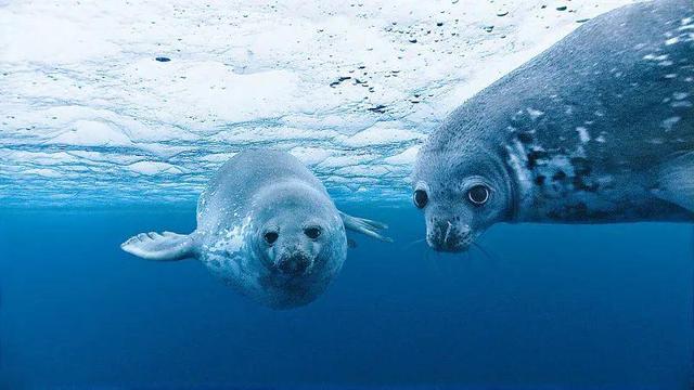 世界级大师陨落！他永远留在了“天堂电影院”