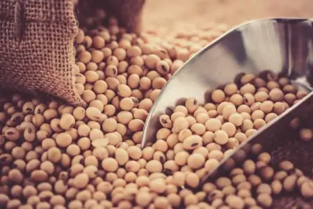 血脂高手麻，脚抽筋！这些降血脂食物每天换着吃，血管更健康！