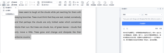 国内哪个翻译软件正确率最高？
