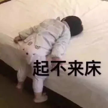 学信网可查最全解读