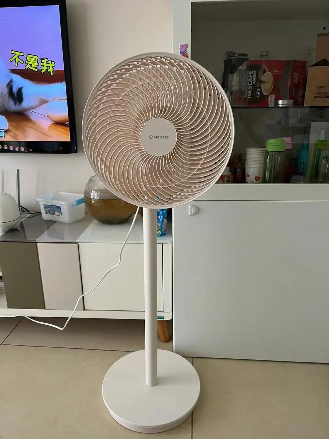 空气循环扇是“智商税”还是真好用？买了半年后，谈谈我的感受