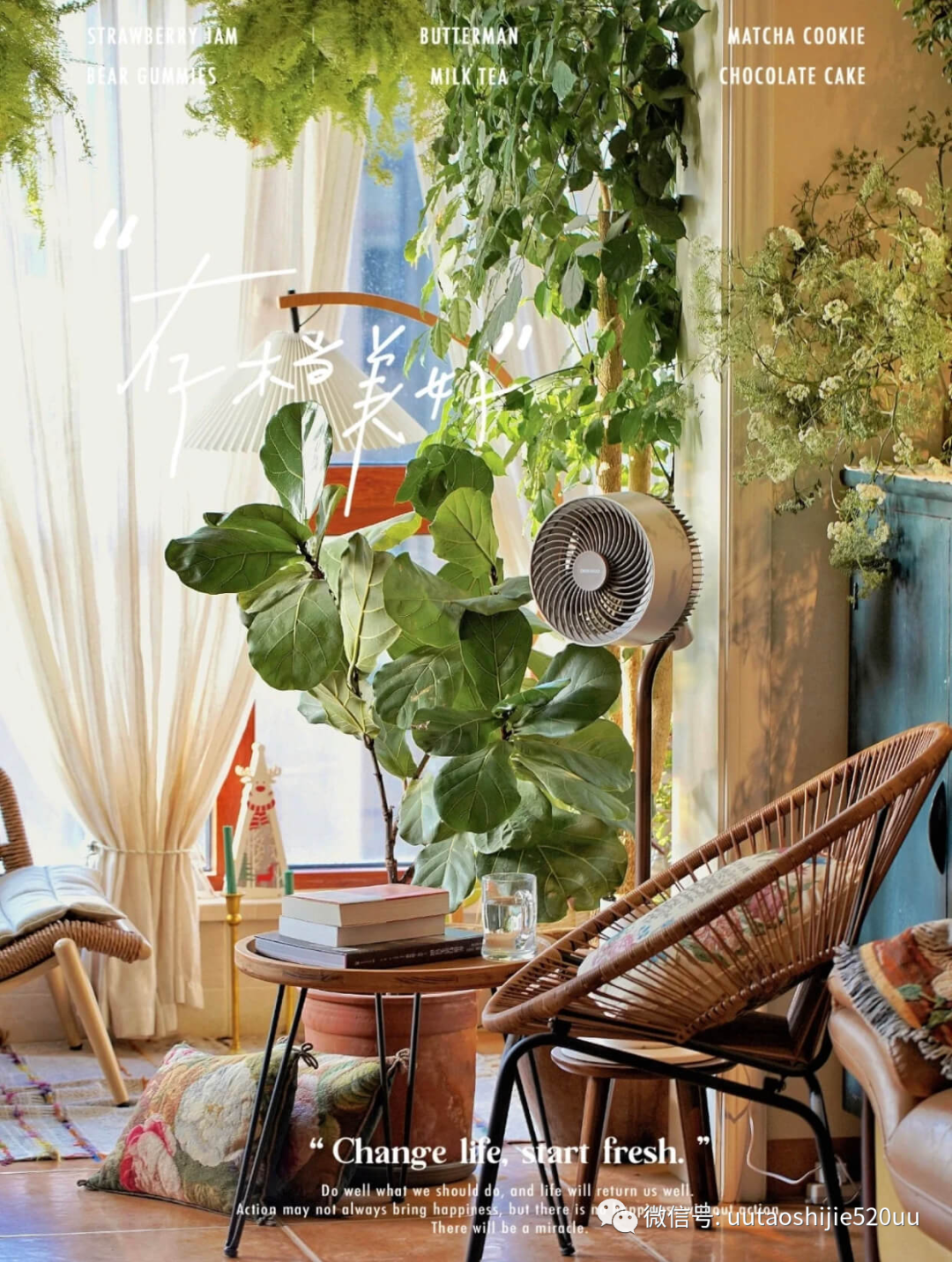 能杀菌的循环扇，也是落地灯