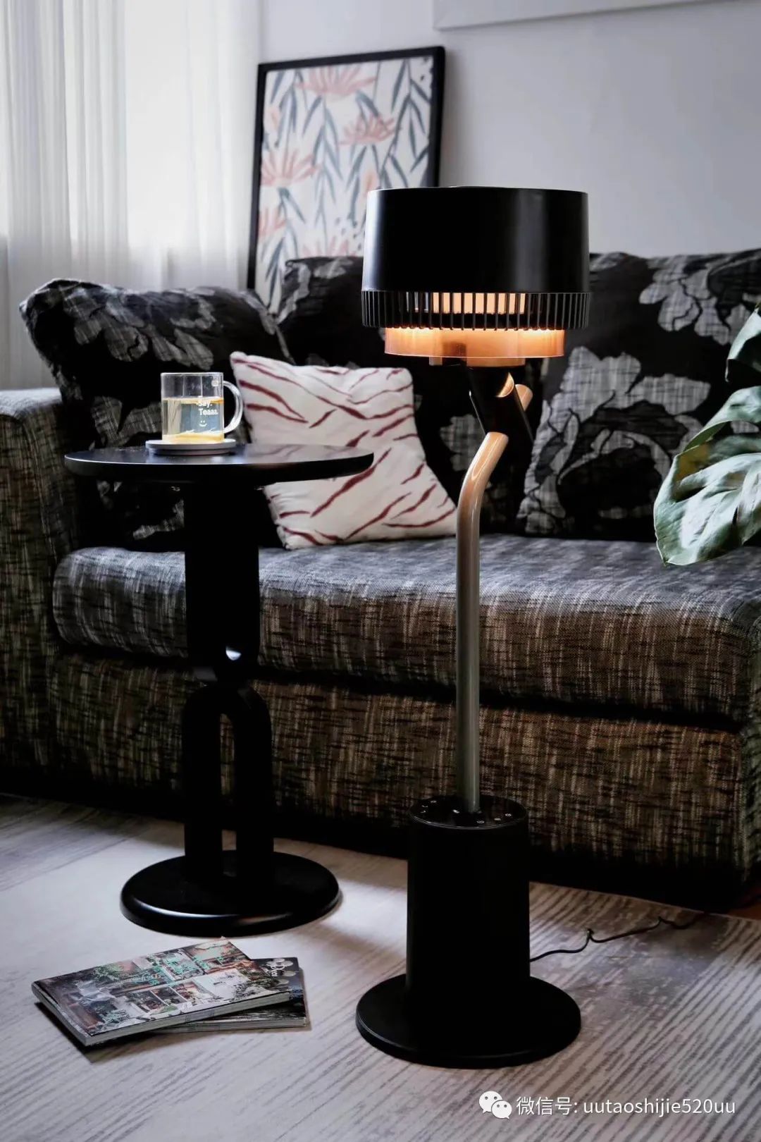 能杀菌的循环扇，也是落地灯