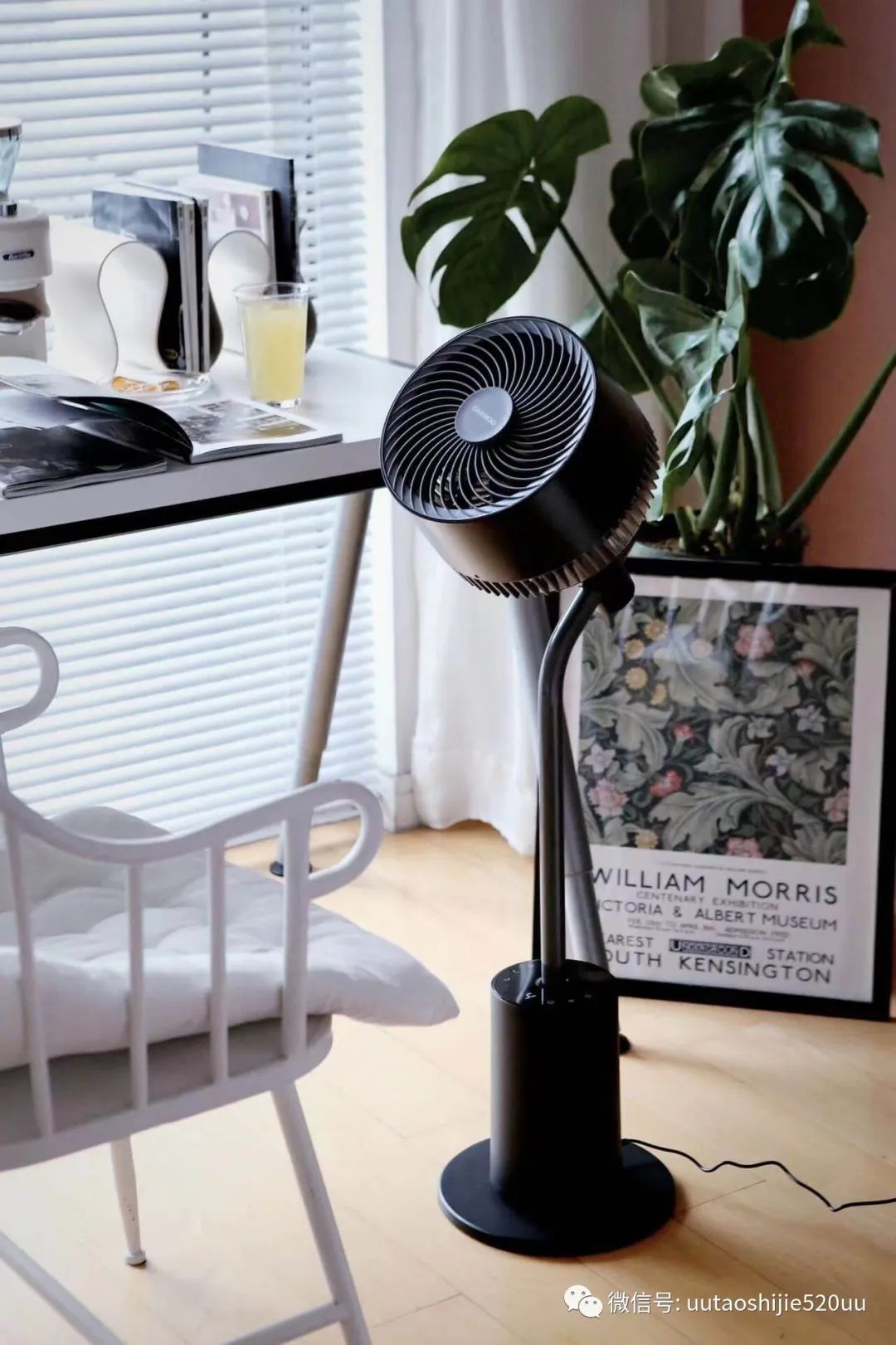 能杀菌的循环扇，也是落地灯