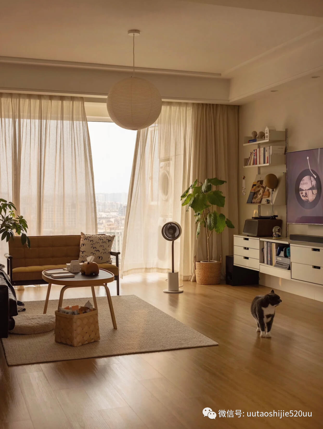 能杀菌的循环扇，也是落地灯