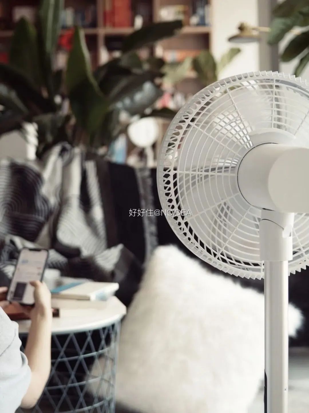 火了5年的生活小家电，用对的真没几个