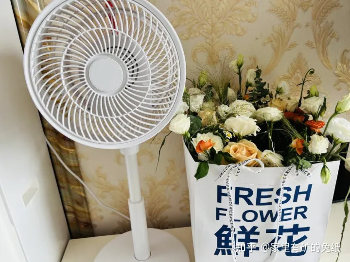 空气循环扇好用吗？空气循环扇真的有用吗？舒乐氏空气循环扇开箱评测，家里有娃必备的“电风扇”！！