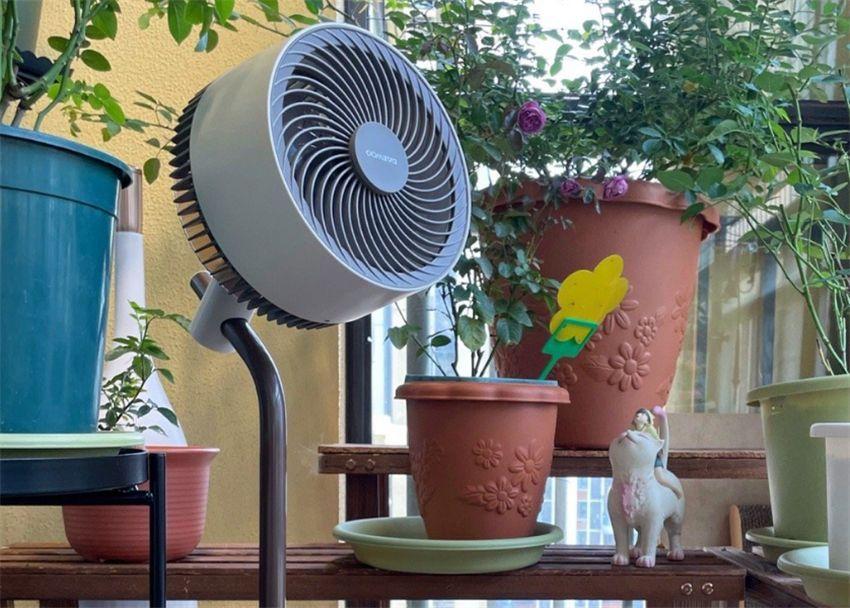 空气循环扇真的比普通风扇更好用吗？一起来听听，过来人怎么说