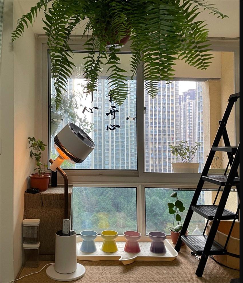 空气循环扇真的比普通风扇更好用吗？一起来听听，过来人怎么说