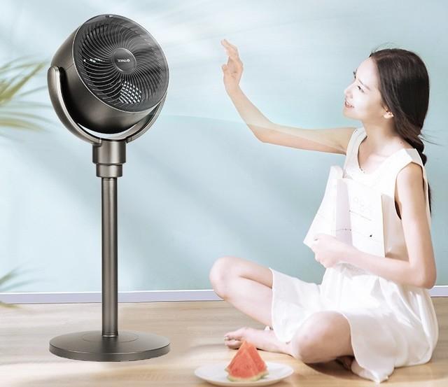 号称秒杀所有风扇 空气循环扇是智商税吗¥50¥50格力（GREE） 空气循环扇直流变频遥控电风扇家用摇头电扇涡轮换气扇循环对流风扇落地扇 滤网净化空气升级款FXDZ-20X62Bg3京东月销量1万好评率96%无理由退换京东配送格力（GREE） 空气循环扇直流变频遥控电风扇家用摇头电扇涡轮换气扇循环对流风扇落地扇 滤网净化空气升级款FXDZ-20X62Bg3¥429¥40¥40美的（Midea）【飓风循环】轻音节能空气循环扇大风量落地扇可拆洗电风扇摇头宿舍电扇台式桌面小型风扇 GAF20CA京东月销量1万好评率96%无理由退换京东配送美的（Midea）【飓风循环】轻音节能空气循环扇大风量落地扇可拆洗电风扇摇头宿舍电扇台式桌面小型风扇 GAF20CA¥199¥50¥50艾美特（AIRMATE）空气循环扇电风扇黑白天鹅32档直流变频节能家用落地扇智能遥控定时台立式风扇 CA23-RD2 黑天鹅京东好评率96%无理由退换京东配送旗舰店艾美特（AIRMATE）空气循环扇电风扇黑白天鹅32档直流变频节能家用落地扇智能遥控定时台立式风扇 CA23-RD2 黑天鹅¥659