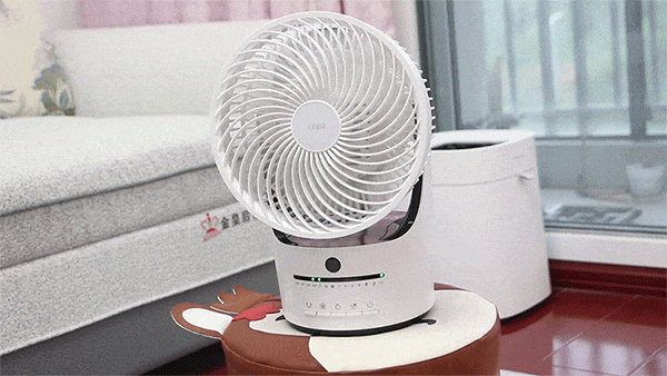 一起吹空调吗？配台空气循环扇的那种