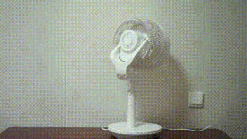 夏天的风吹来了吗？舒乐氏3D季风空气循环扇体验！