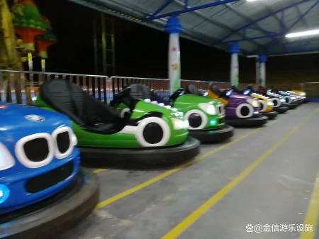 投资碰碰车游乐场需要哪些手续