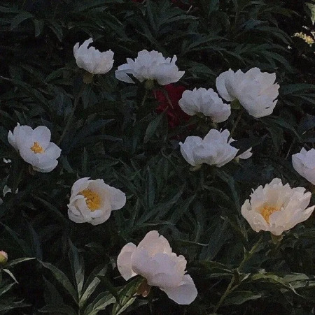 赵雷的《我记得》，感动无数网友，原来是讲的这个故事（歌词我记得你的好）