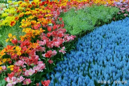 你来过，我爱过，你的好我记得（你来过我来过是什么歌）